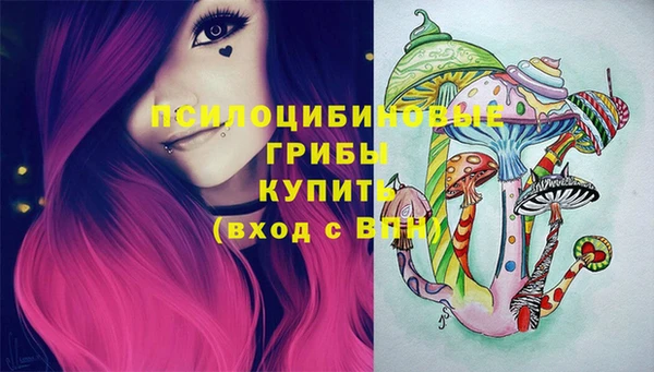 круглые Богородск
