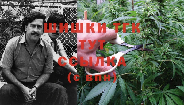 MDMA Богородицк