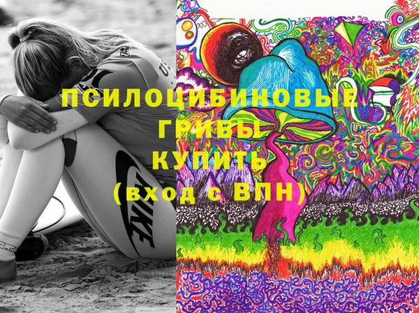 спайс Богданович