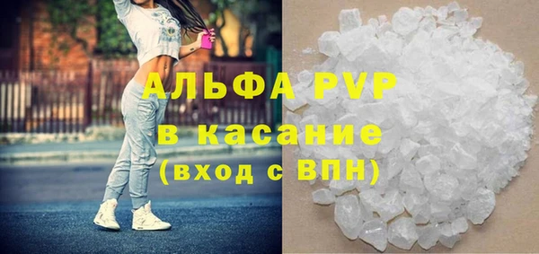 спайс Богданович
