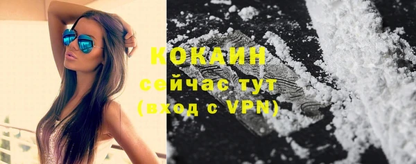 гашик Тында