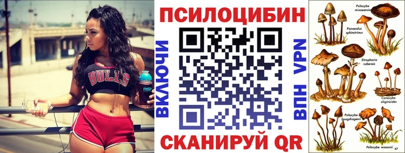 Псилоцибиновые грибы GOLDEN TEACHER  Ясногорск 